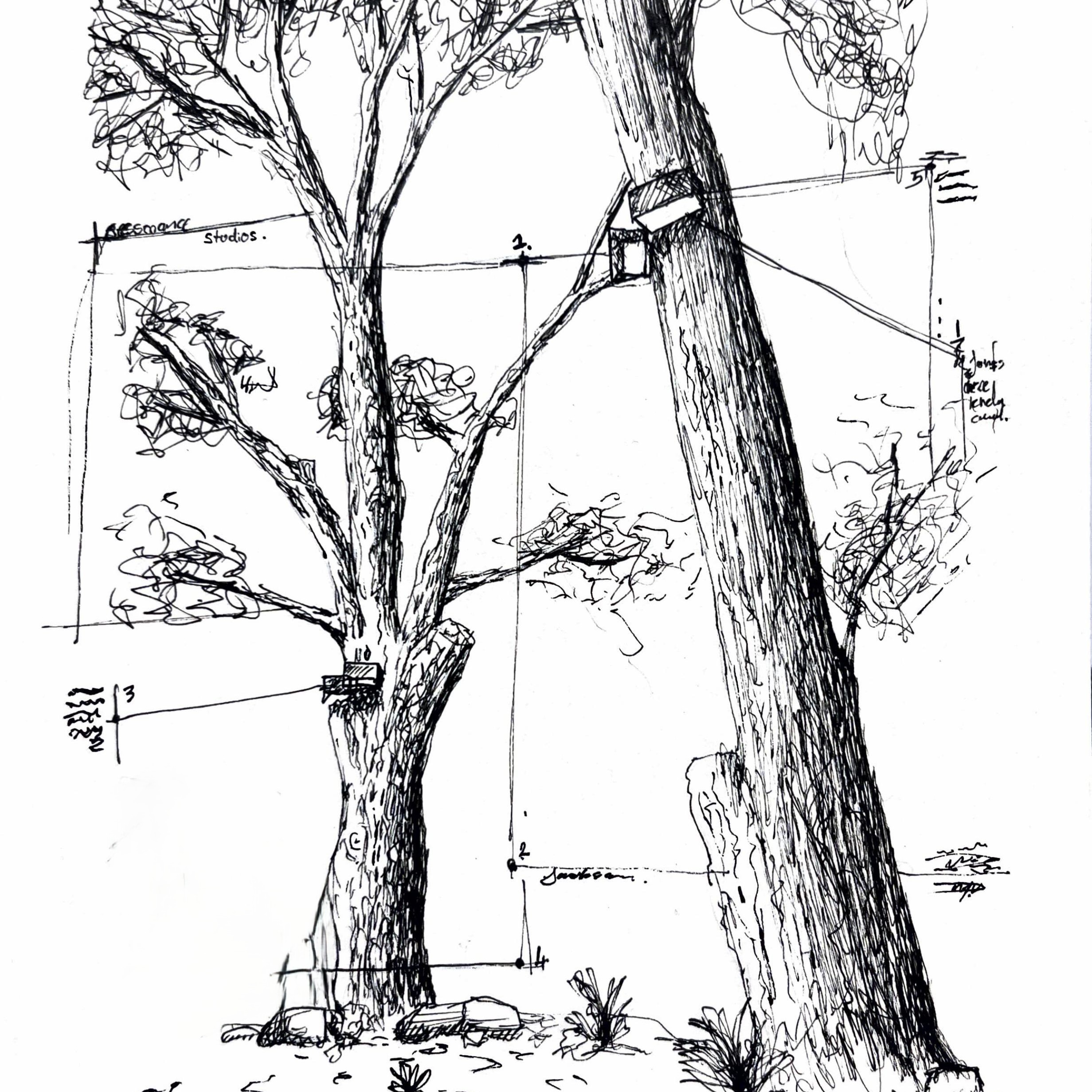 Trees and diagram -images-v1 Trees and diagram -images-v1